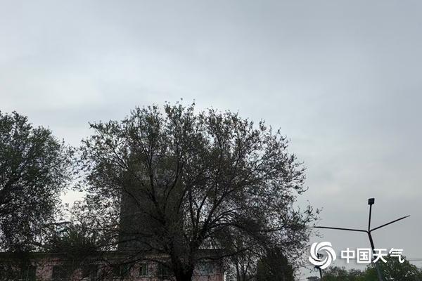 北京今天白天阵风较大