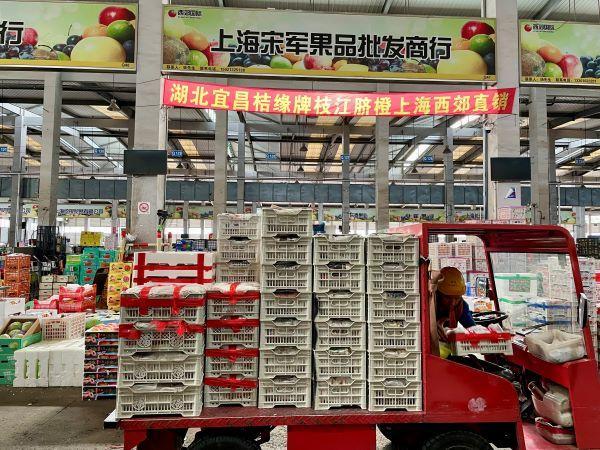 杨梅受“泡药”影响价格跳水 行业信任危机浮现