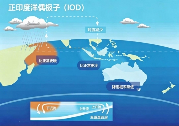 多地氣溫接連沖破45℃大關(guān)，印度人盼降雨緩解酷暑