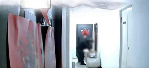 女子多次恶意退款被抓