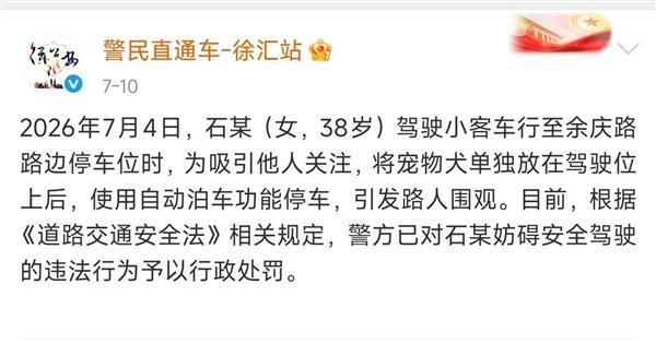 女子让狗坐主驾开启自动泊车被处罚