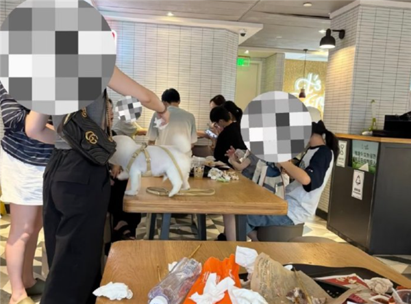 市监局回应肯德基被曝狗踩餐桌 店内已进行全面消杀