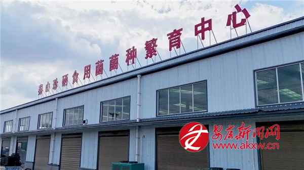 安康市首张省级菌种生产经营许可证获批