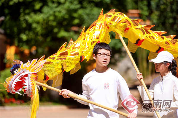 “舞龙少年”为“非遗”注入青春力量