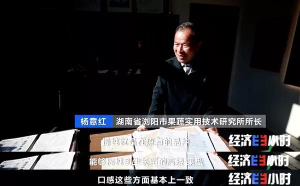 辣椒一斤卖300元？！你吃过吗？