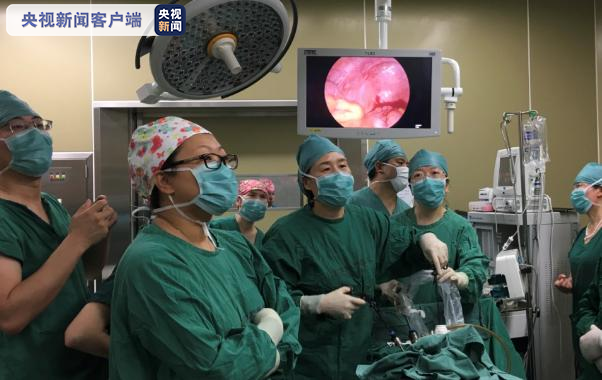 中国首例！卵巢组织冻存移植患者自然妊娠成功