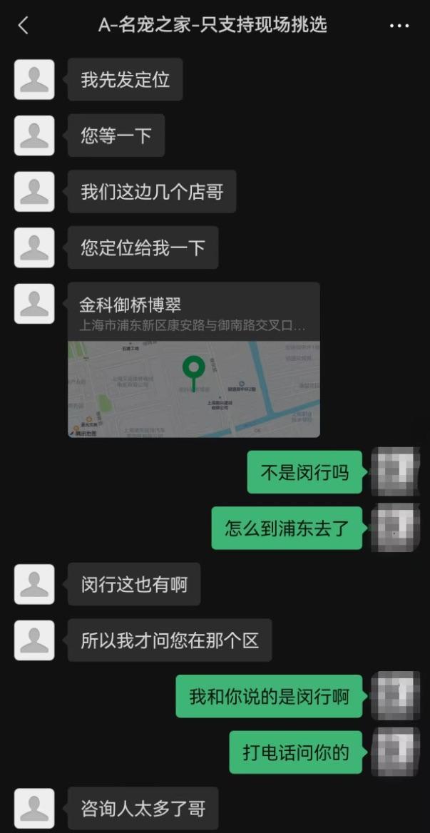 揭秘上海宠物市场销售套路 中介引流与健康隐患