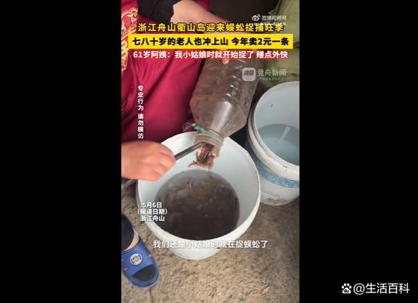 老人扎堆捉蜈蚣收购价2元1条
