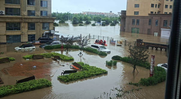 强降雨致哈尔滨部分地区被淹：商户停业牲畜困在屋顶