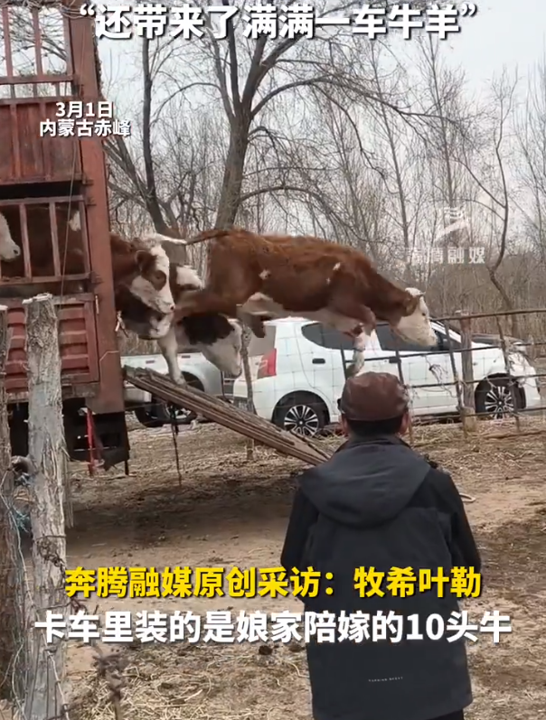 娘家人带一卡车牛羊来看望出嫁女子 亲朋40余人组团探望