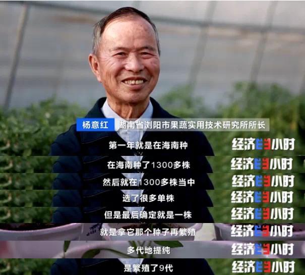 辣椒一斤卖300元？！你吃过吗？