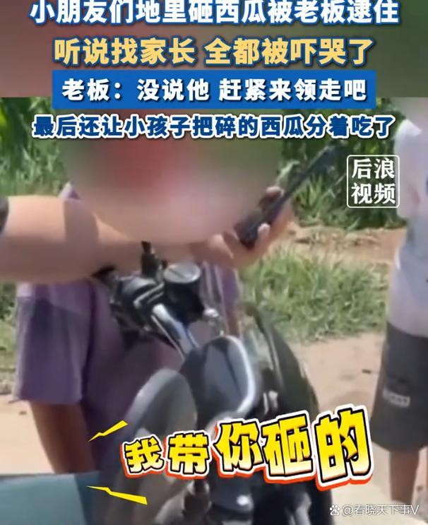 小朋友地里砸西瓜被老板逮住 一听找家长就被吓哭了