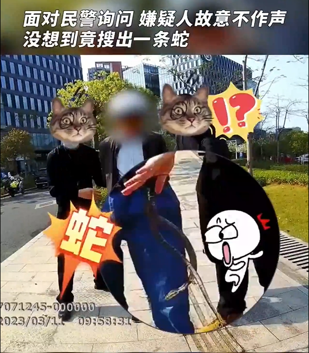 民警从嫌疑人裤兜掏出眼镜蛇！求警察蜀黍的心理阴影面积