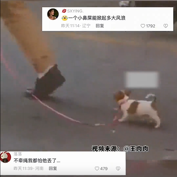 大哥遛狗很严谨再小的狗都要牵狗绳