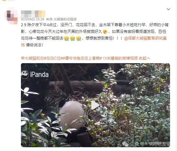 大熊猫花花被遗忘外场 饲养员被解雇 网友都炸窝了