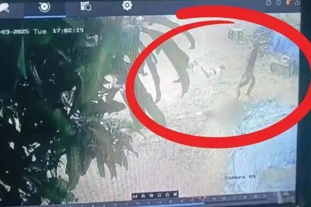 老妇遭男子侵犯后被拖行约50米死亡 监视器画面曝光引发公愤