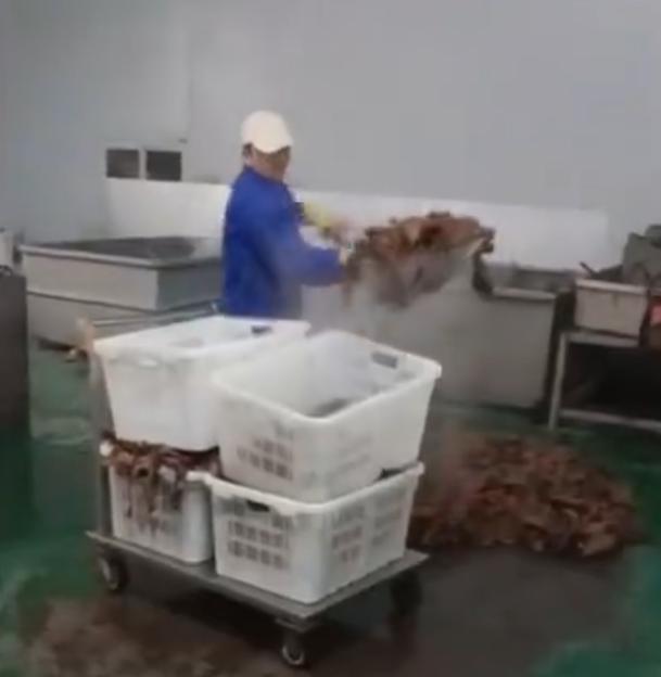 官方通报鹿哈带货牛肚加工环境恶劣 企业被责令停业整顿