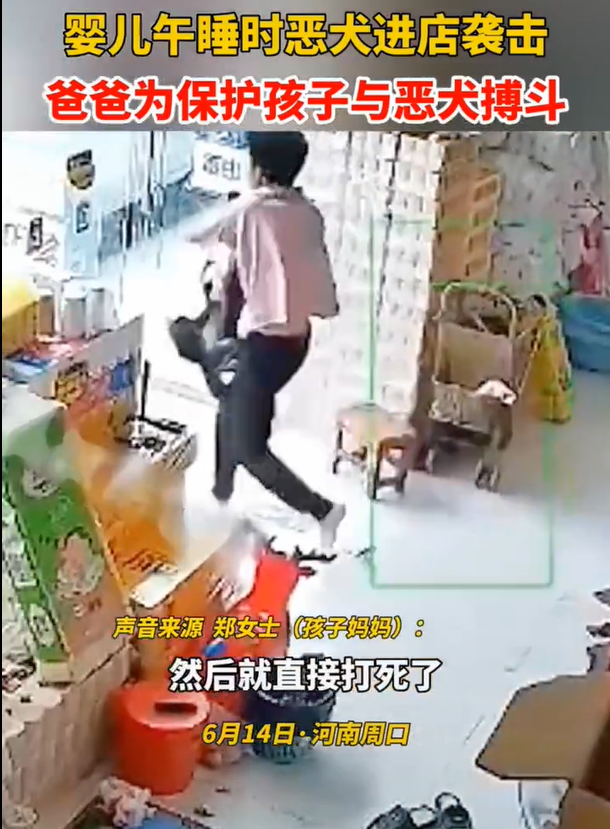 爸爸为保护小孩与狗搏斗 妈妈：孩子没有受伤
