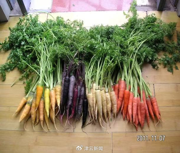 陷入長達(dá)十余年的“搶地”風(fēng)波,！男子6年間遭村民搶走1700畝鹽堿地 