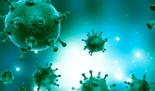 XBB.1.5在美迅速蔓延 外交部回应