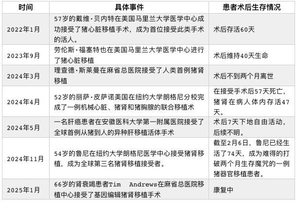 史上首個豬腎人體移植臨床獲批 異種器官移植破冰