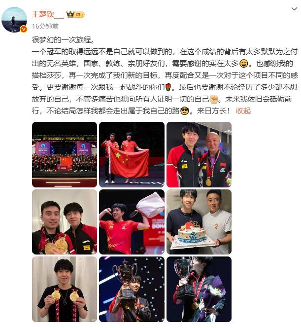 王楚钦说冠军不是自己就可以做到的