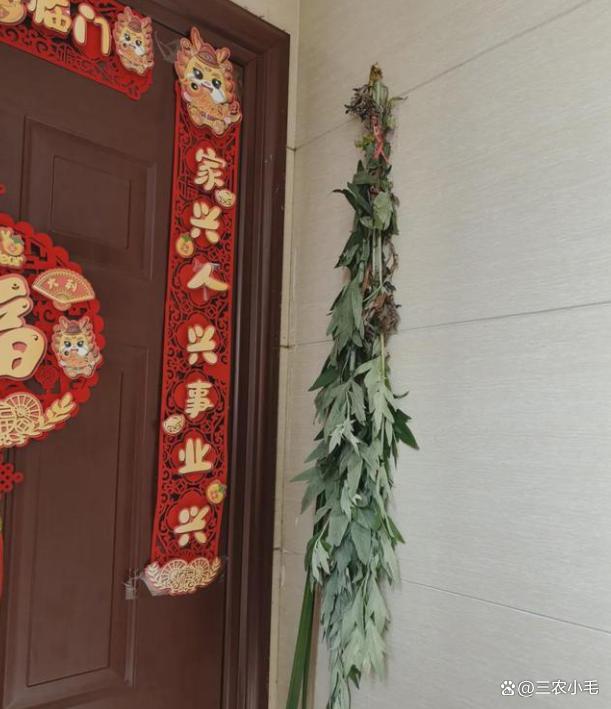 端午掛艾草有講究，掛左邊還是右邊,？一文說(shuō)清楚 千年習(xí)俗的智慧