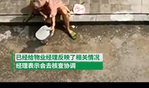 一女子烈日下猛抽幼童耳光，动作凶狠让人揪心，警方：已介入，正在了解情况