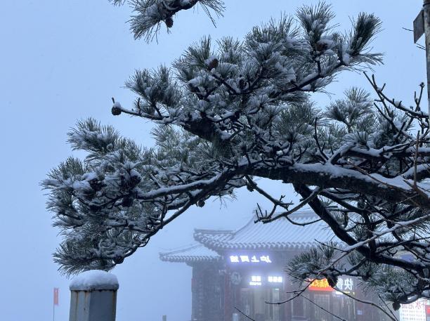 济南下雪啦！寒潮黄色预警生效中，明日最低气温-6℃！山东多地将迎今冬初雪