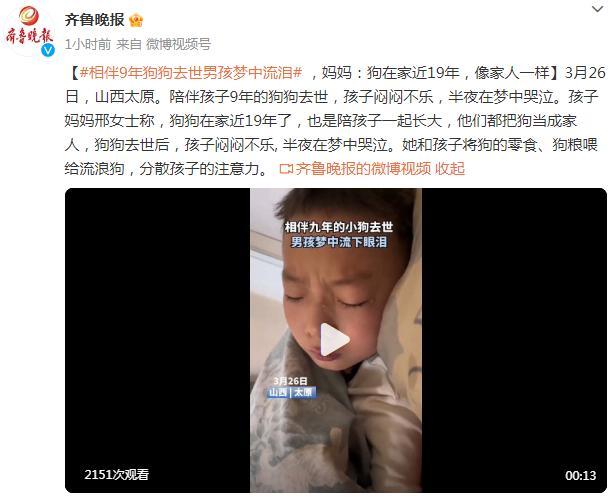 狗狗去世男孩梦中流泪 狗狗用生命最后一刻教会孩子什么是离别