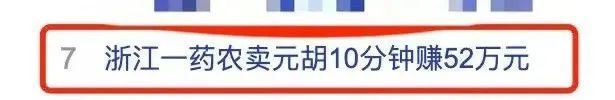 浙江一药农10分钟赚52万 有人开车10多个小时连夜抢货