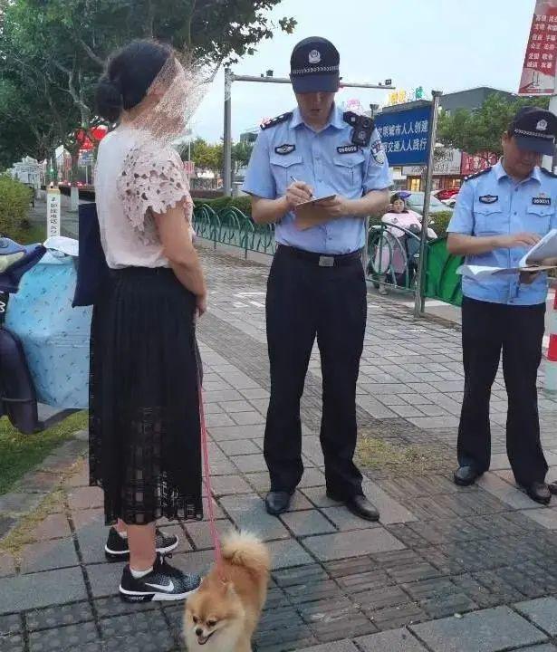 2026年遛狗不拴繩最高拘10天 新規(guī)引發(fā)熱議