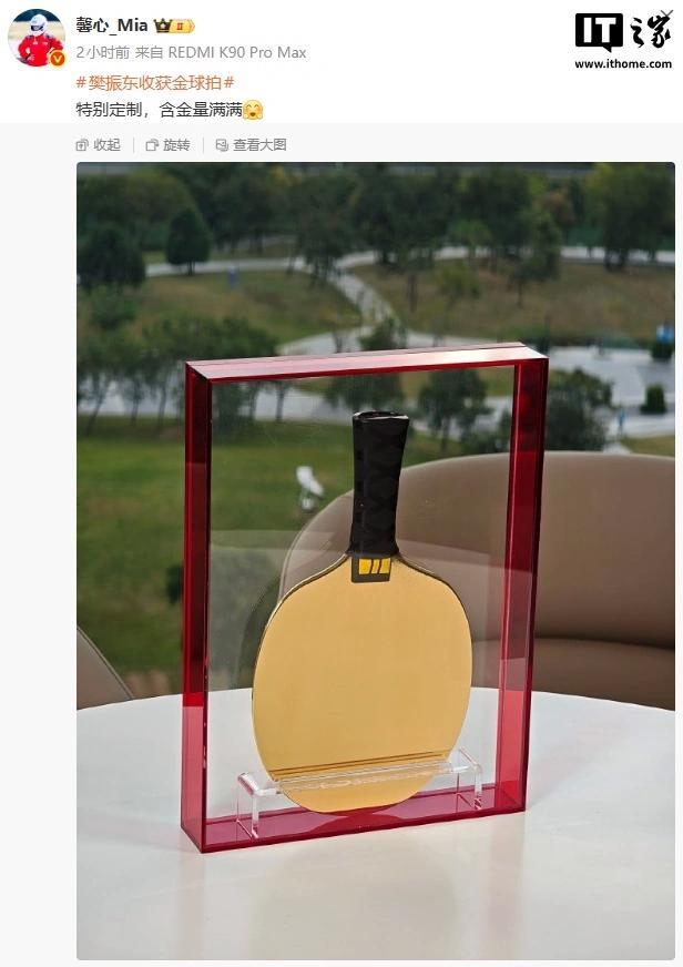 樊振東深圳獲金球拍 含金量滿滿