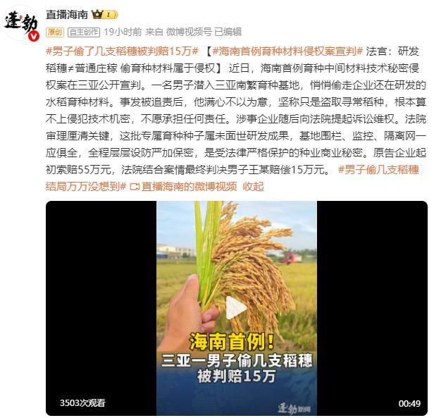 男子偷了几支稻穗被判赔15万 法院释疑