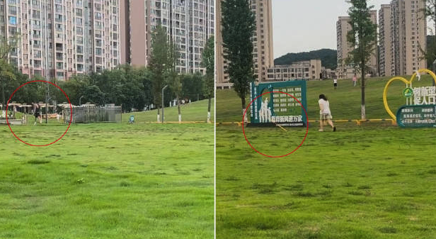 有人在孔目江湿地公园扔标枪，当地回应：将查监控找人
