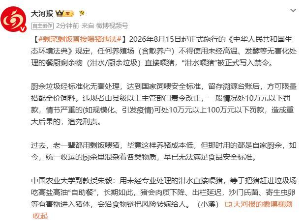 剩菜泔水不能直接喂猪 最高罚10万 新规严管泔水喂猪