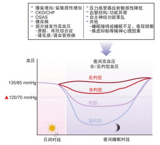 潜伏在暗夜里的危机，近百名心内科医生呼吁警惕
