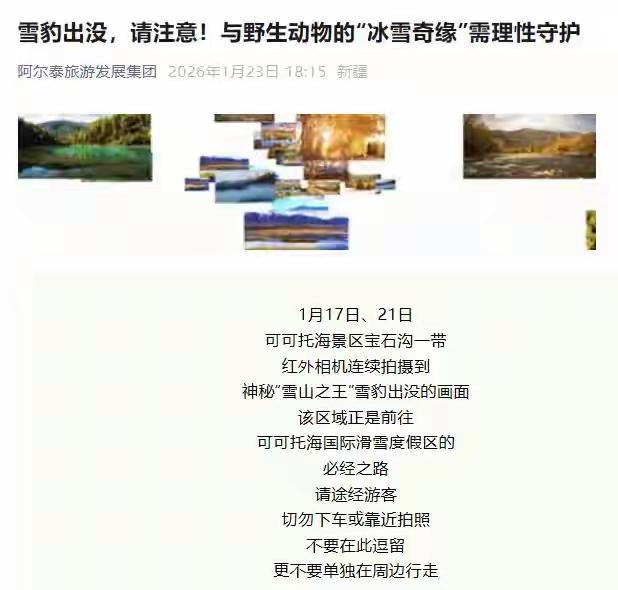 被雪豹咬伤女搭客否定跟雪豹拍照 无视警告自酿悲催