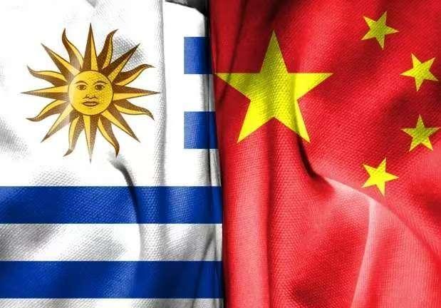 乌拉圭总统收获特殊礼物 南共市探路石