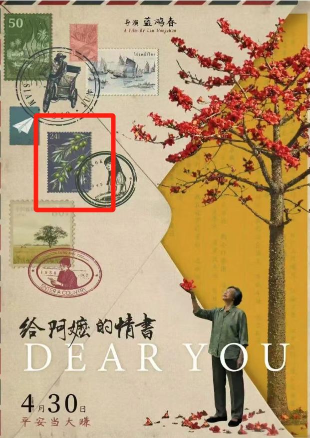 《给阿嬷的情书》里阿嬷的橄榄是啥 地中海油橄榄≠潮汕橄榄