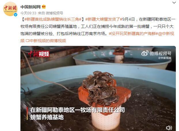 新疆第一批成熟螃蟹发货 首批成熟螃蟹销往长三角