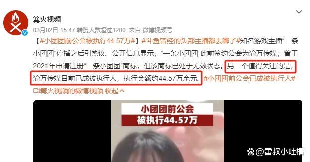 一条小团团单月礼物收入曾高达500万 涉博且与陈少杰_