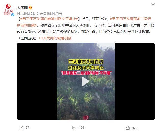 男子用石头砸白鹇被过路女子喝止：不管是不是二级保护动物，都是生命！