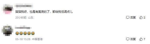 泰國(guó)警方幽默通報(bào)貓咪襲警 貓薄荷惹的禍