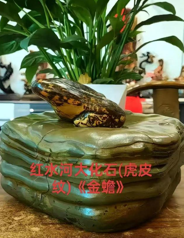 【名石典藏】奇石科普:名石双雄，九龙壁石(华安玉)与大化石(大化彩玉石)