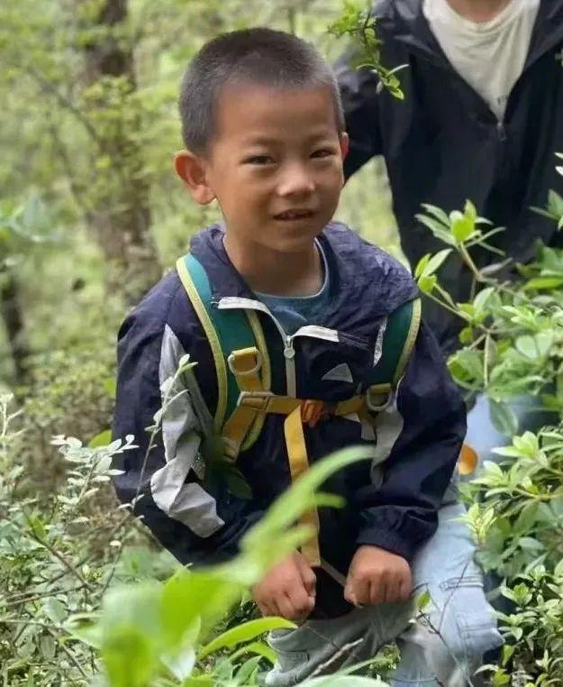 男童在苍山走失 夏令营机构被调查 搜救持续进行