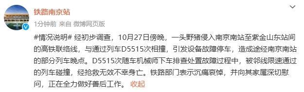 铁路一机械师被撞身亡 曾下车排查处置故障