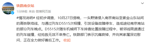 乘客講述機械師被撞身亡詳情 野豬侵入高鐵線引發(fā)悲劇