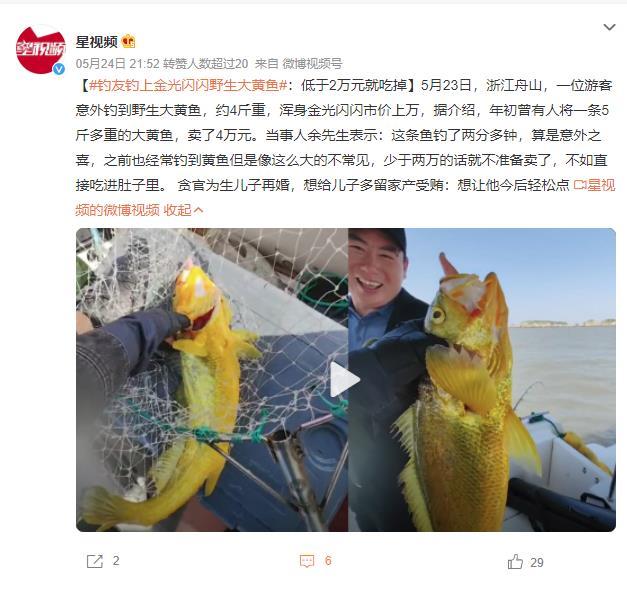 游客钓上野生大黄鱼 市场价过万 准备送给朋友享用