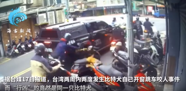 臺(tái)灣惡犬自行開車窗跳車咬人：對(duì)人追逐撲咬不松口,，主人懷疑是誤觸